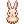 C Orange Rabbit