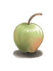Unripe Apple