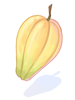 Cacao