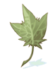 Huge Leaf